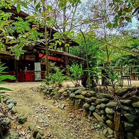 Barranquero Hotel 埃尔扎伊诺 外观 照片