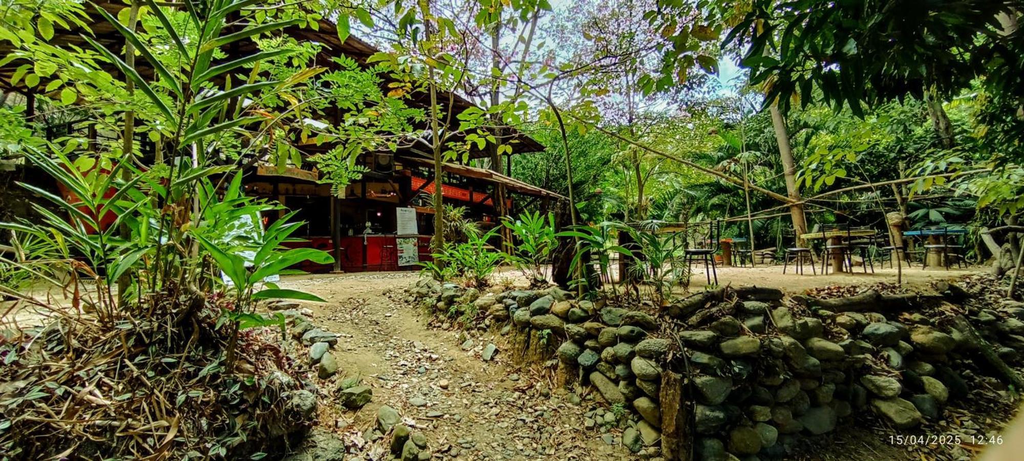 Barranquero Hotel 埃尔扎伊诺 外观 照片
