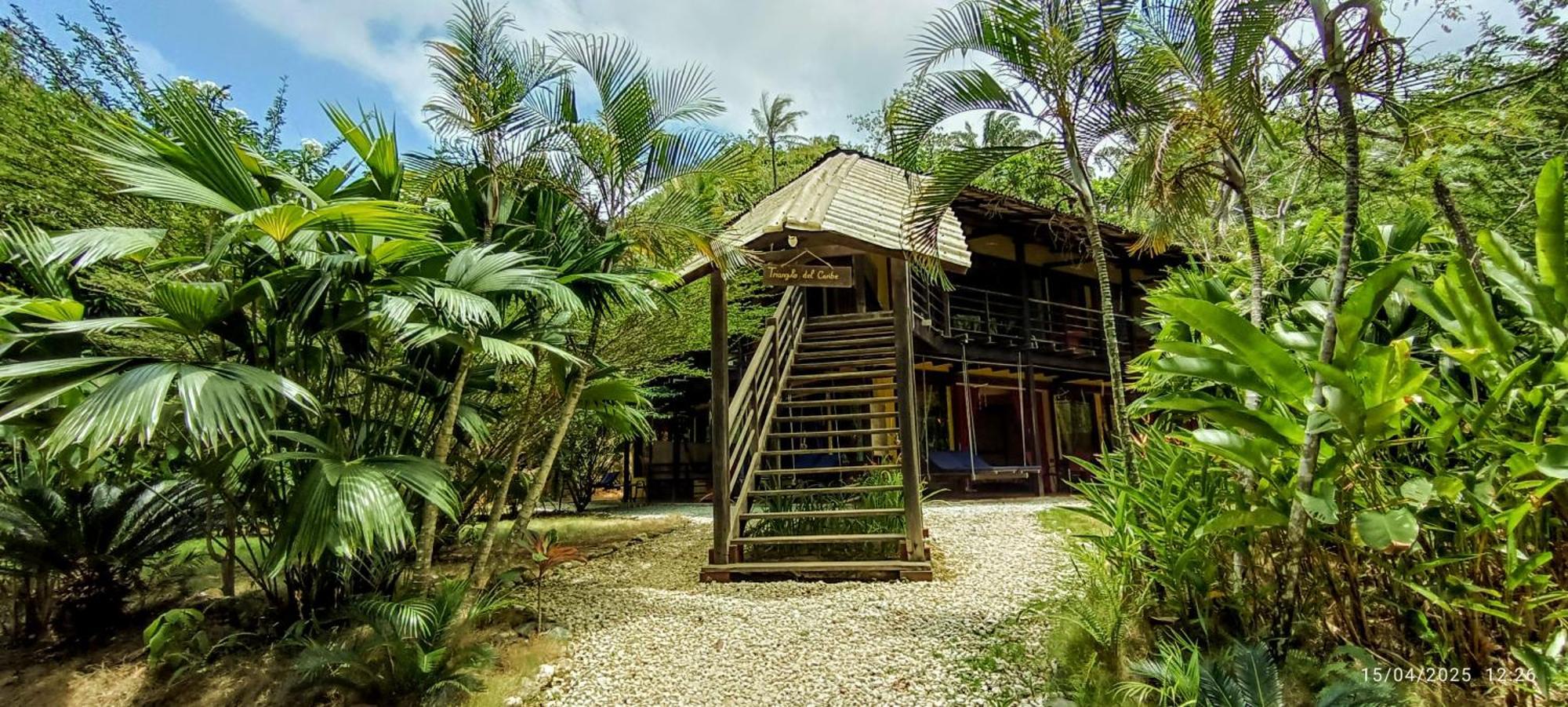 Barranquero Hotel 埃尔扎伊诺 外观 照片